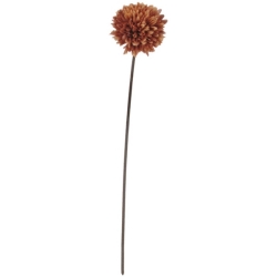 FLS5221RUST