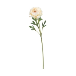 FLS5236BE