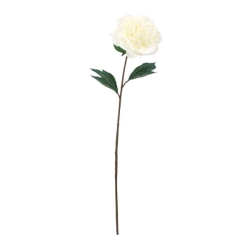 FLS5315WH