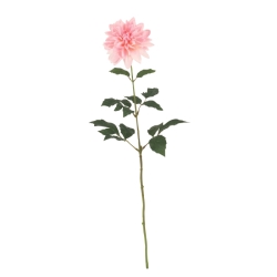 FLS5338ANCRPK