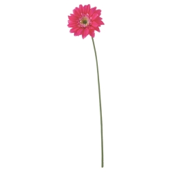 FLS5354BEA