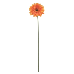 FLS5354OR