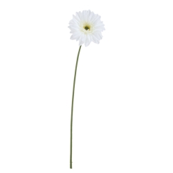 FLS5354WH
