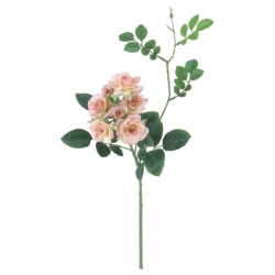 FLS5355ANCRPK