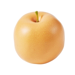 梨 ナシ ※食べられません T0324 食品サンプル フェイクフード ディスプレイ フルーツ なし 豊水 幸水