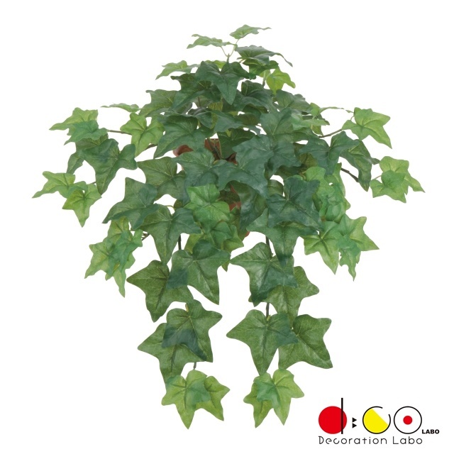 同梱無料】 ツタ つた 蔦 グリーン 観葉植物 斑入り アイビー 観葉植物
