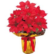 NEW ポインセチア ラッピング ポット 大 ※他商品と同梱不可 1001 造花 ディスプレイ フェイクフラワー クリスマス ウインター 飾り 冬装飾 販促グッズ 催事 イベント テーブル装飾 スタンド
