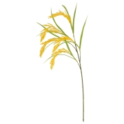 BRS5048
