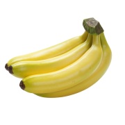 房バナナ F3782 食品サンプル フェイクフード ディスプレイ 果物 フルーツ バナナ