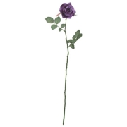 FLS0713PRPU