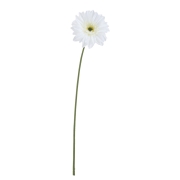FLS5354WH