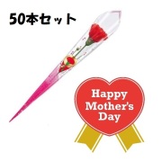 NEW ラッピングカーネーション レッド 50本セット MA10022DS 母の日 造花 ラッピング レッド カーネーション