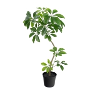 シェフレラポット S グリーン VR26004G フェイクグリーン 人工観葉植物 シェフレラ ツリー エコ 再生素材