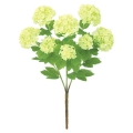 FLB8103LIME