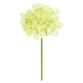 FLP6013LIME