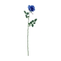 FLS0713BL