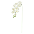 FLS5183LWH