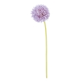 FLS5221ANLI