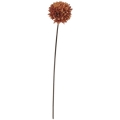 FLS5221RUST
