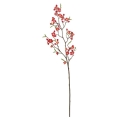 FLS5260RD