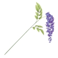 FLS5294SPU