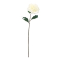 FLS5315WH