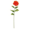 FLS5320OR
