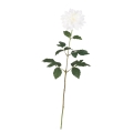 FLS5338WH