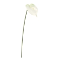 FLS5352WH