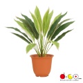 LEB8365
