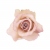 FLS0713ANCRPKUP