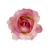 FLS0713GRMVUP