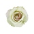 FLS0713LIMEUP