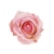 FLS0713PKUP