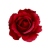 FLS0713PRRDUP