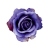 FLS0713PUUP