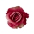 FLS0713ROSEUP