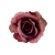 FLS0713VIUP