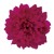 FLS5320WIUP