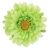 FLS5327LIME_1