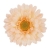 FLS5327PC_1