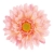 FLS5327PK_1