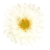 FLS5327WH_1