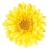 FLS5327YL_1
