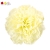 FLS5329CRUP