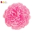 FLS5329PKUP