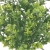 LEB8163UP