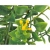 LEB8176GRYLUP