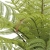 LEB8233UP