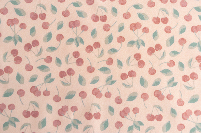 キャンディキャンディ布 IMG_6555_1.jpg